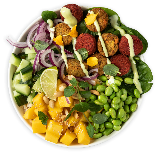 Hawaii Falafel Bowl